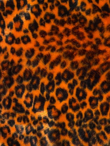 Velboa Little Leo Orange